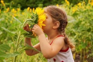 Child-and-sunflower